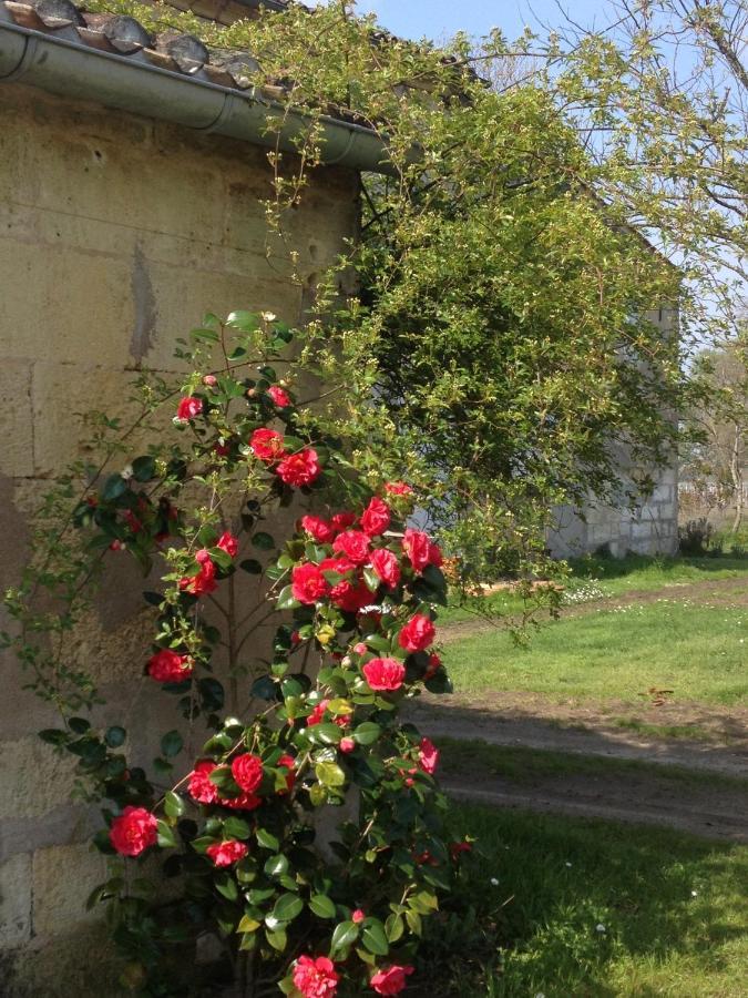 Château Pierre De Lune Saint-Émilion